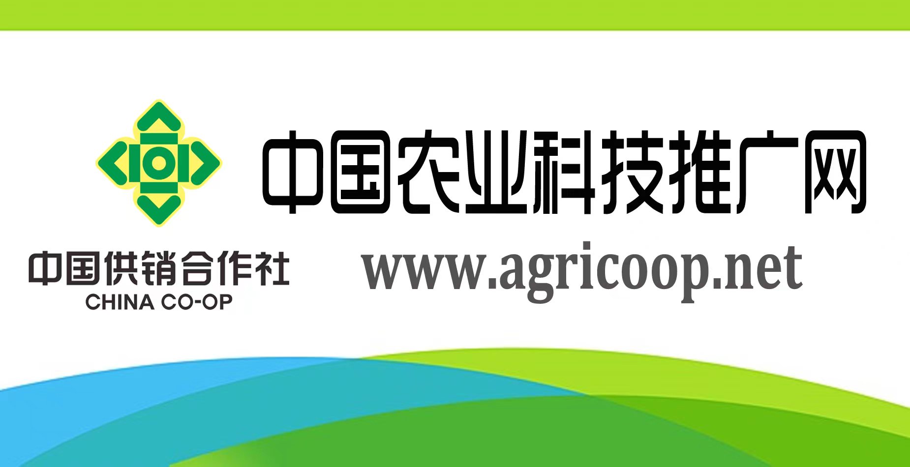 中國農業科技推廣網
